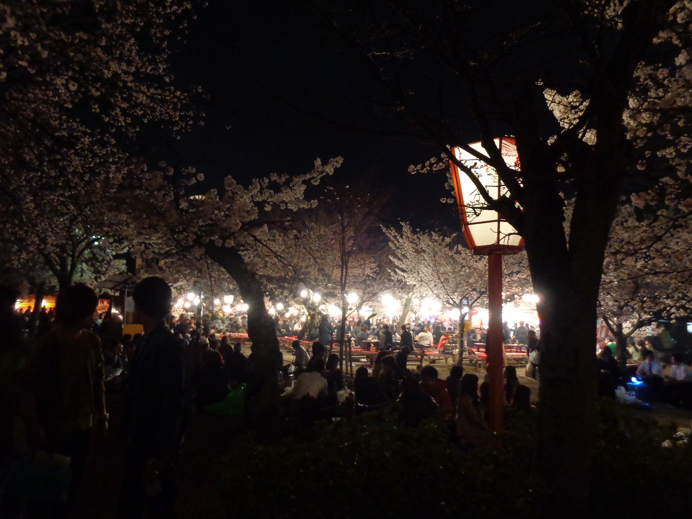 Nächtliche Volksfeststimmung in Kyoto