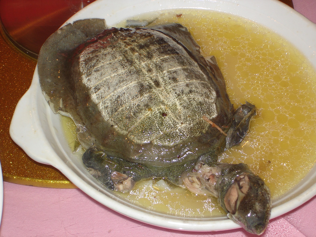 Schildkröte essen China
