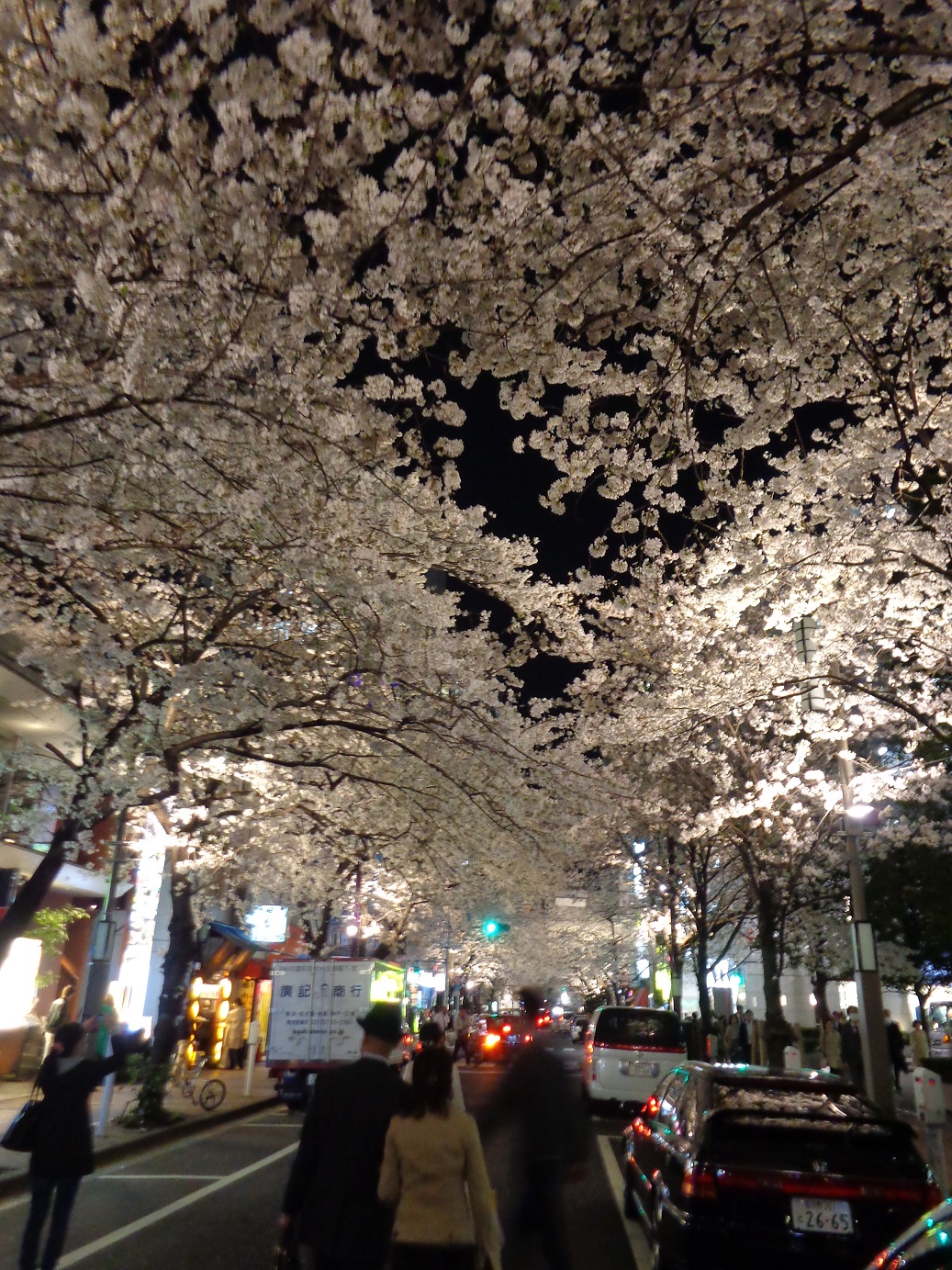 Tokyos Kirschblüten in den Abendstunden