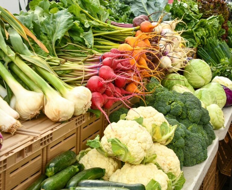 Chinesische Ernährungstherapie