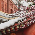 TCM-Weisheiten für den Winter